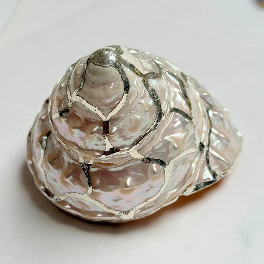 Vintage Iridescent Shell with Silver Metal Overlay Decor Gift Beach Nautical